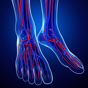 What Is a Doppler Ultrasound Used For?